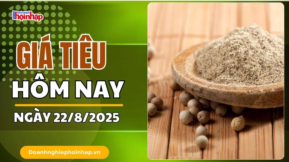 Giá tiêu hôm nay 22/8: Tiêu trong nước "bật" tăng mạnh nhất 2.000 đồng/kg