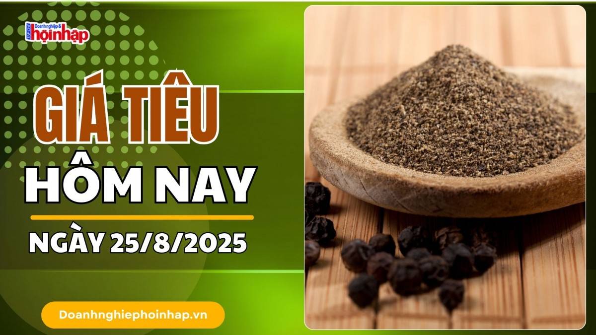 Giá tiêu hôm nay 25/8: Tiêu trong nước cao nhất là 146.000 đồng/kg