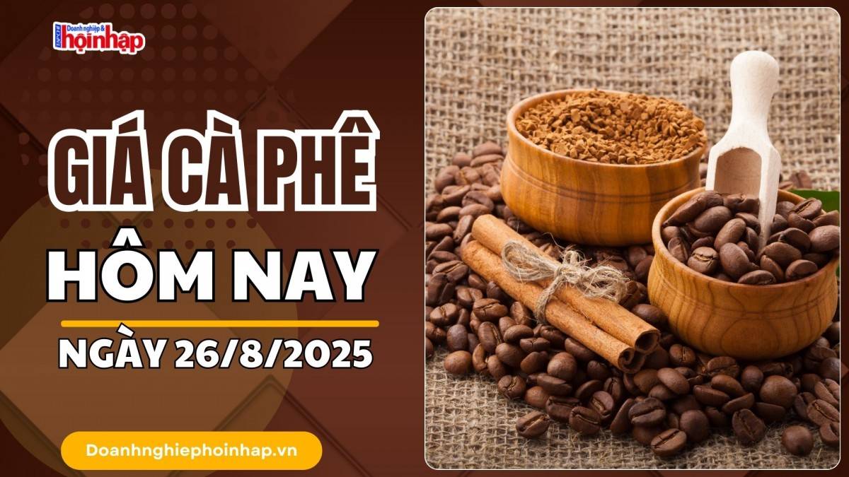 Giá cà phê hôm nay 26/8: Cà phê trong nước "quay xe" giảm mạnh 2.000 đồng/kg
