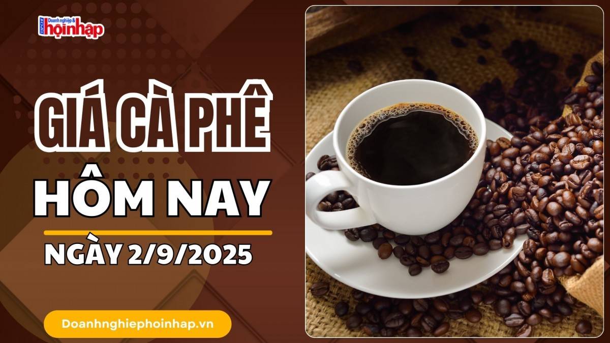 Giá cà phê hôm nay 2/9: Cà phê trong nước cao nhất là 122.700 đồng/kg