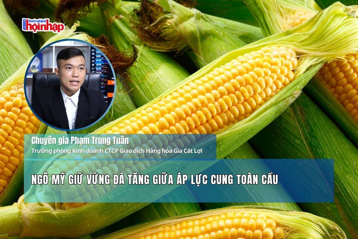 Ngô Mỹ giữ vững đà tăng giữa áp lực cung toàn cầu