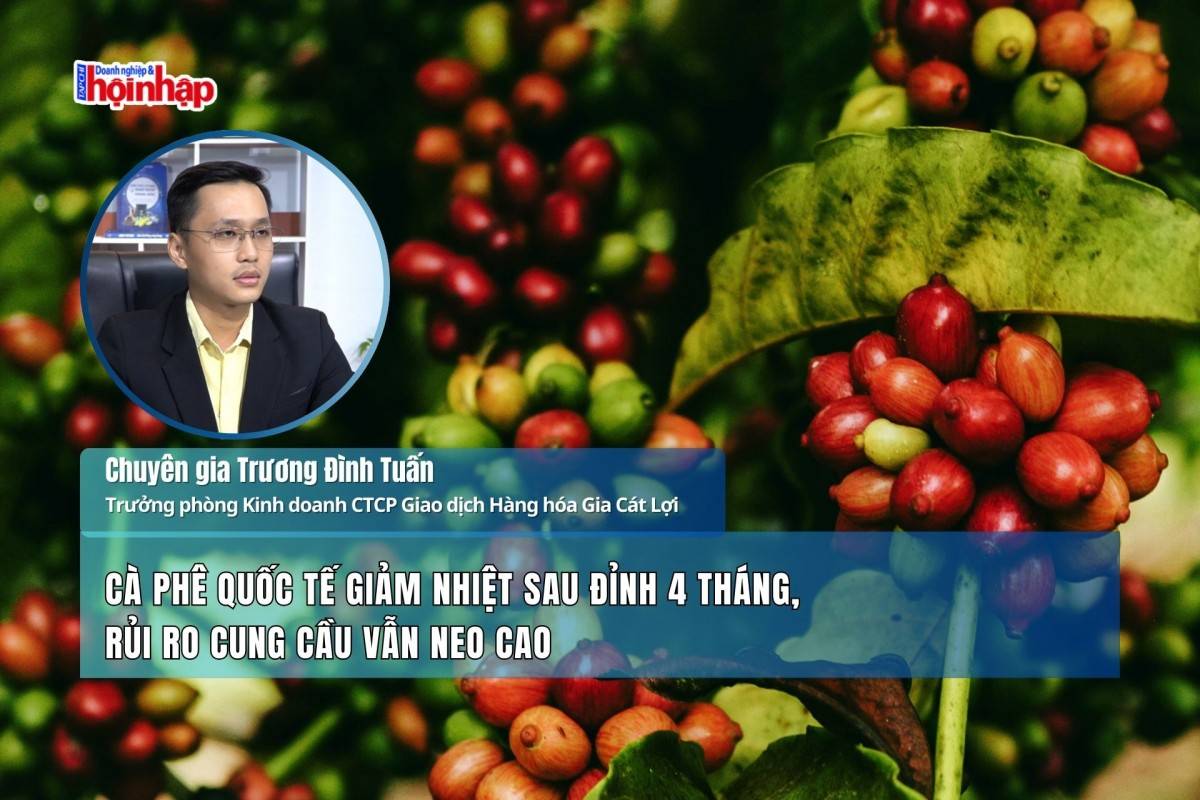 Cà phê quốc tế giảm nhiệt sau đỉnh 4 tháng, rủi ro cung cầu vẫn neo cao