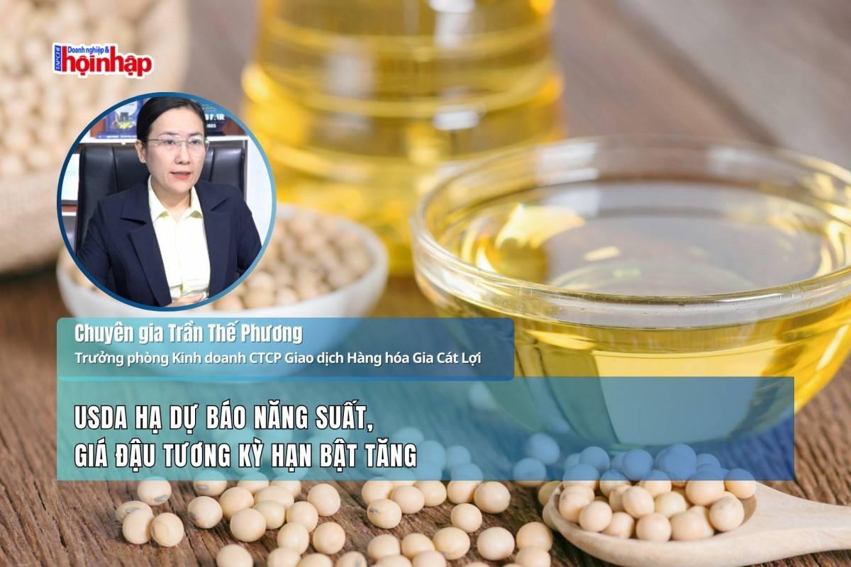 USDA hạ dự báo năng suất, giá đậu tương kỳ hạn bật tăng