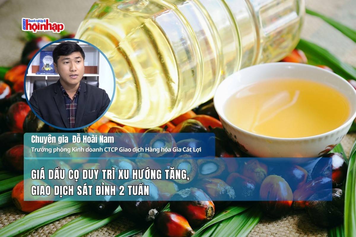 Giá dầu cọ duy trì xu hướng tăng, giao dịch sát đỉnh 2 tuần