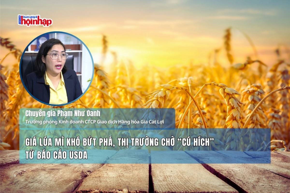 Giá lúa mì khó bứt phá, thị trường chờ “cú hích” từ báo cáo USDA