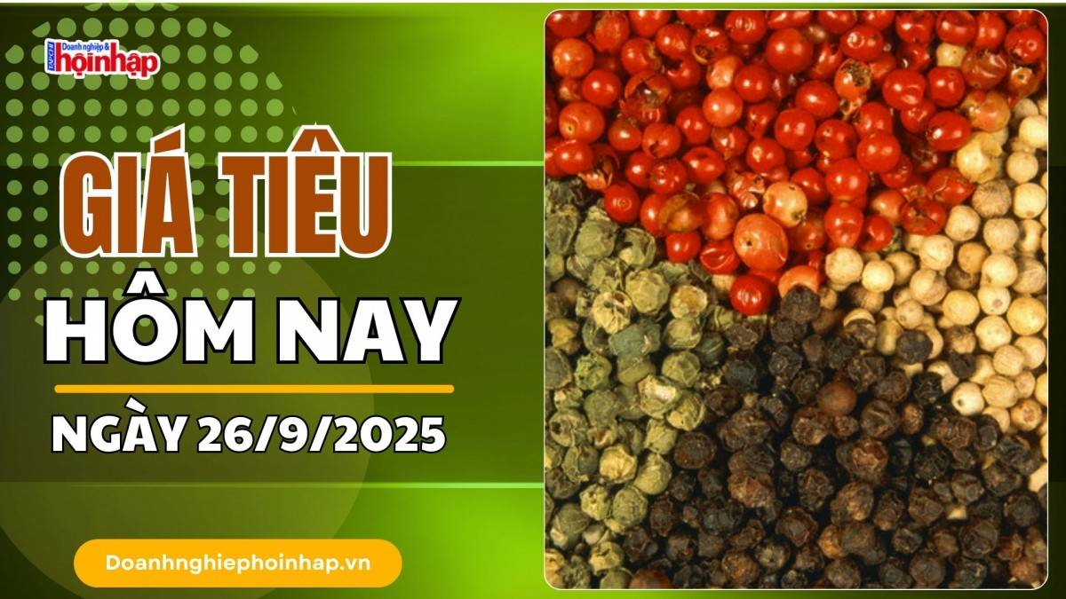 Giá tiêu hôm nay 26/9: Tiêu trong nước cao nhất là 150.000 đồng/kg