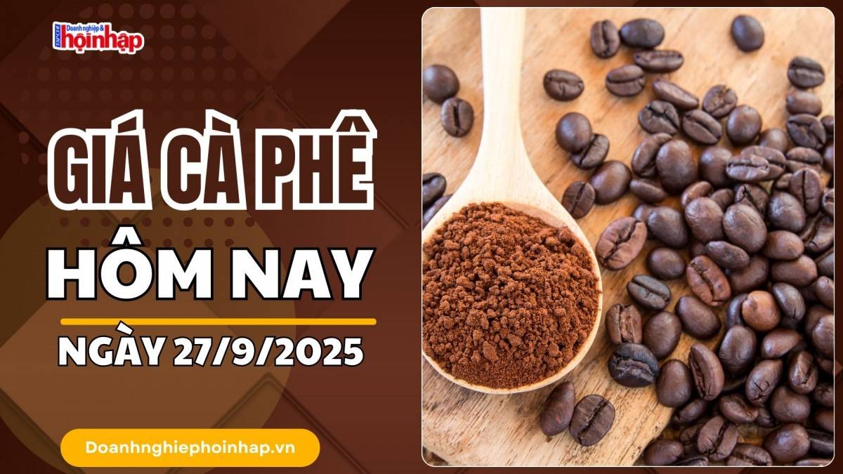 Giá cà phê hôm nay 27/9: Cà phê trong nước giảm mạnh nhất 1.600 đồng/kg
