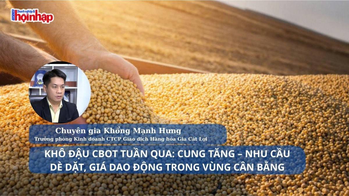 Khô đậu CBOT tuần qua: Cung tăng – nhu cầu dè dặt, giá dao động trong vùng cân bằng