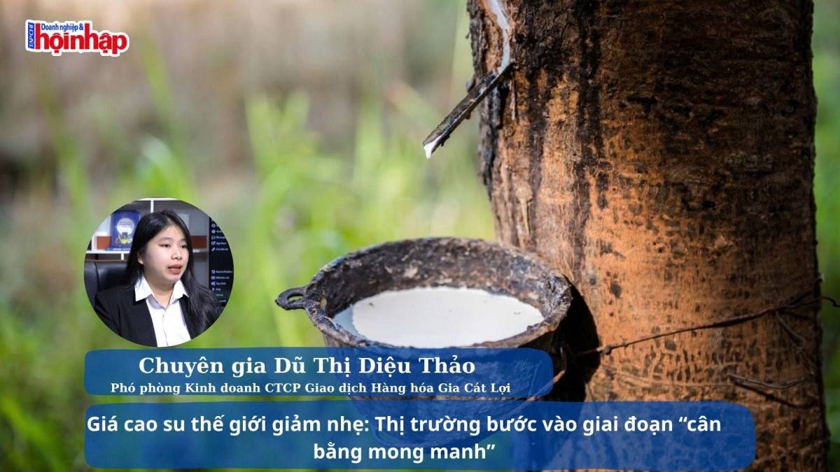 Giá cao su thế giới giảm nhẹ: Thị trường bước vào giai đoạn “cân bằng mong manh”