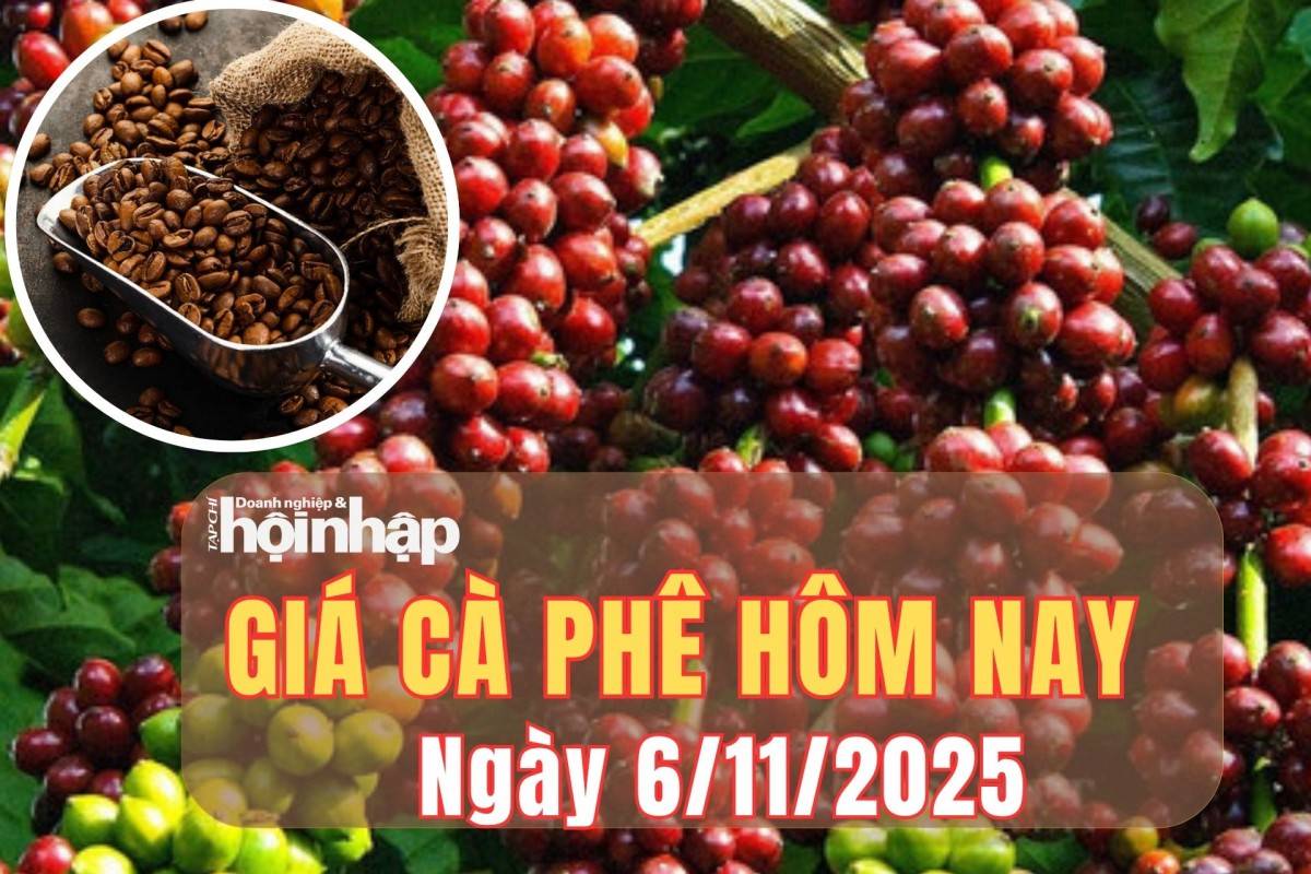 Giá cà phê 6/11: Trong nước hạ nhiệt nhẹ, thế giới bật tăng trở lại