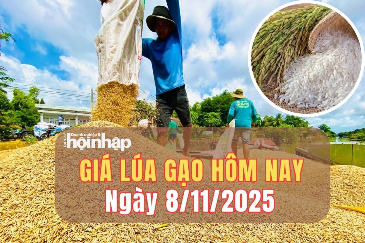 Giá lúa gạo hôm nay 8/11/2025: Gạo nguyên liệu nhích nhẹ, phụ phẩm giảm