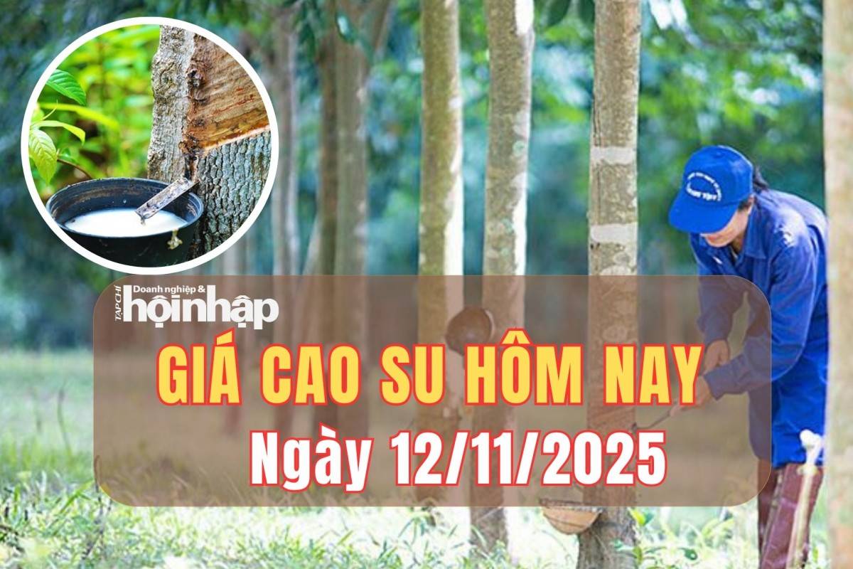 Giá cao su 12/11/2025: Trong nước ổn định, quốc tế biến động trái chiều