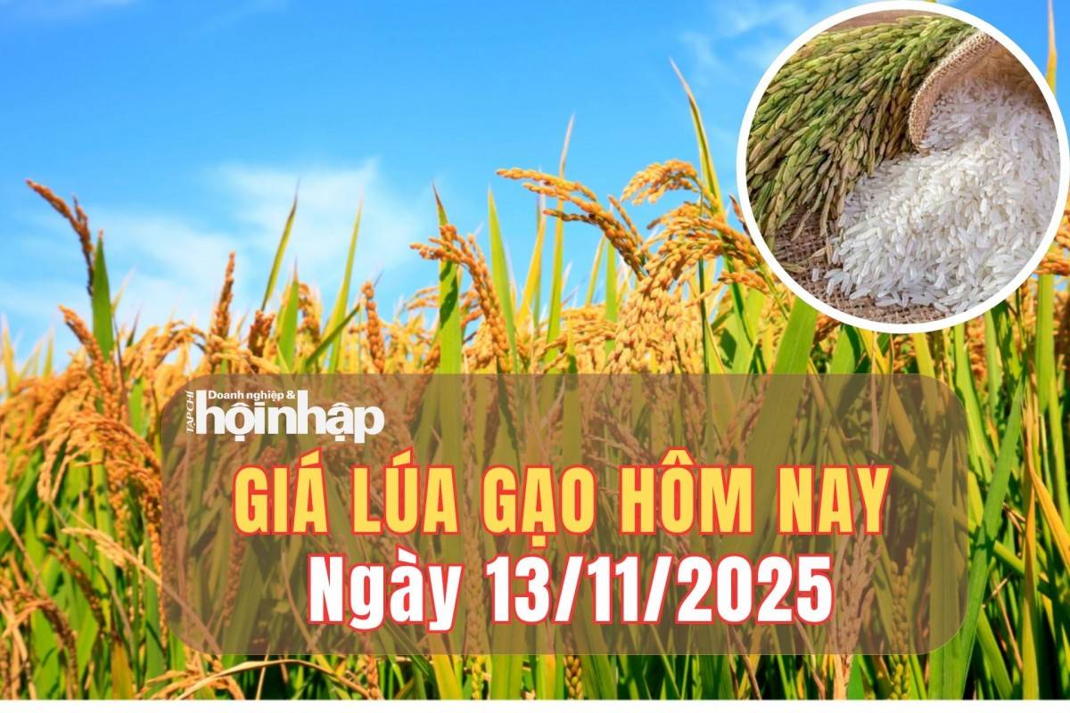Giá lúa gạo hôm nay 13/11/2025: Duy trì ổn định, Indonesia và Malaysia đẩy mạnh tự chủ lương thực