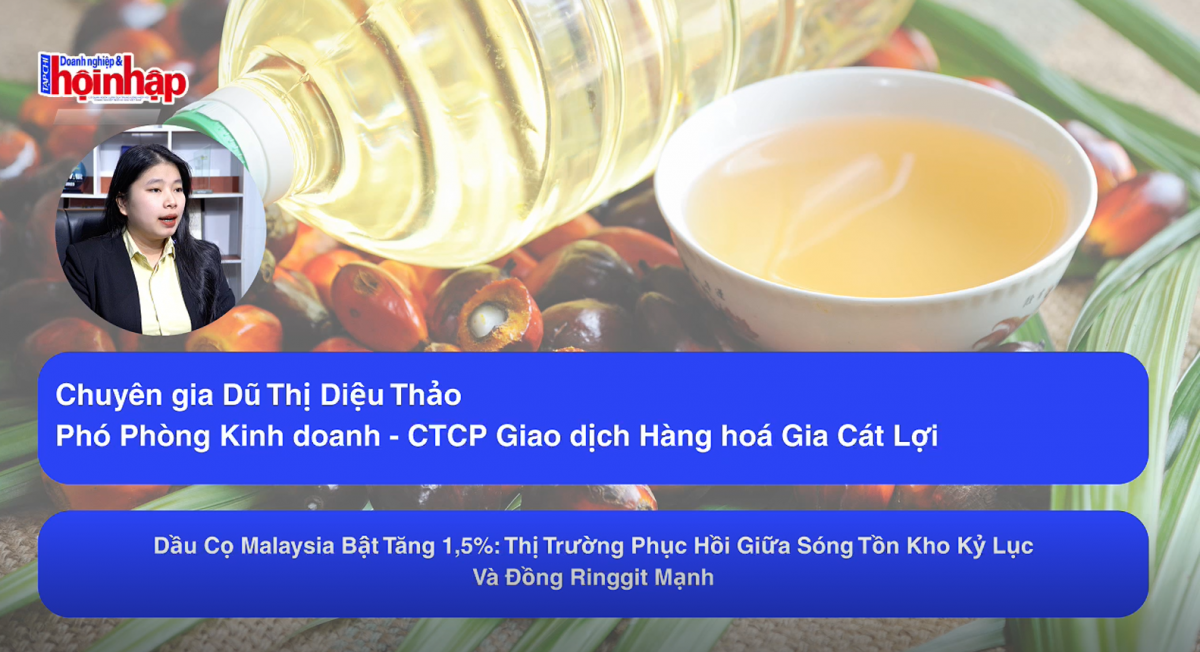 Dầu cọ Malaysia bật tăng 1,5%: Thị trường phục hồi giữa sóng tồn kho kỷ lục và đồng ringgit mạnh