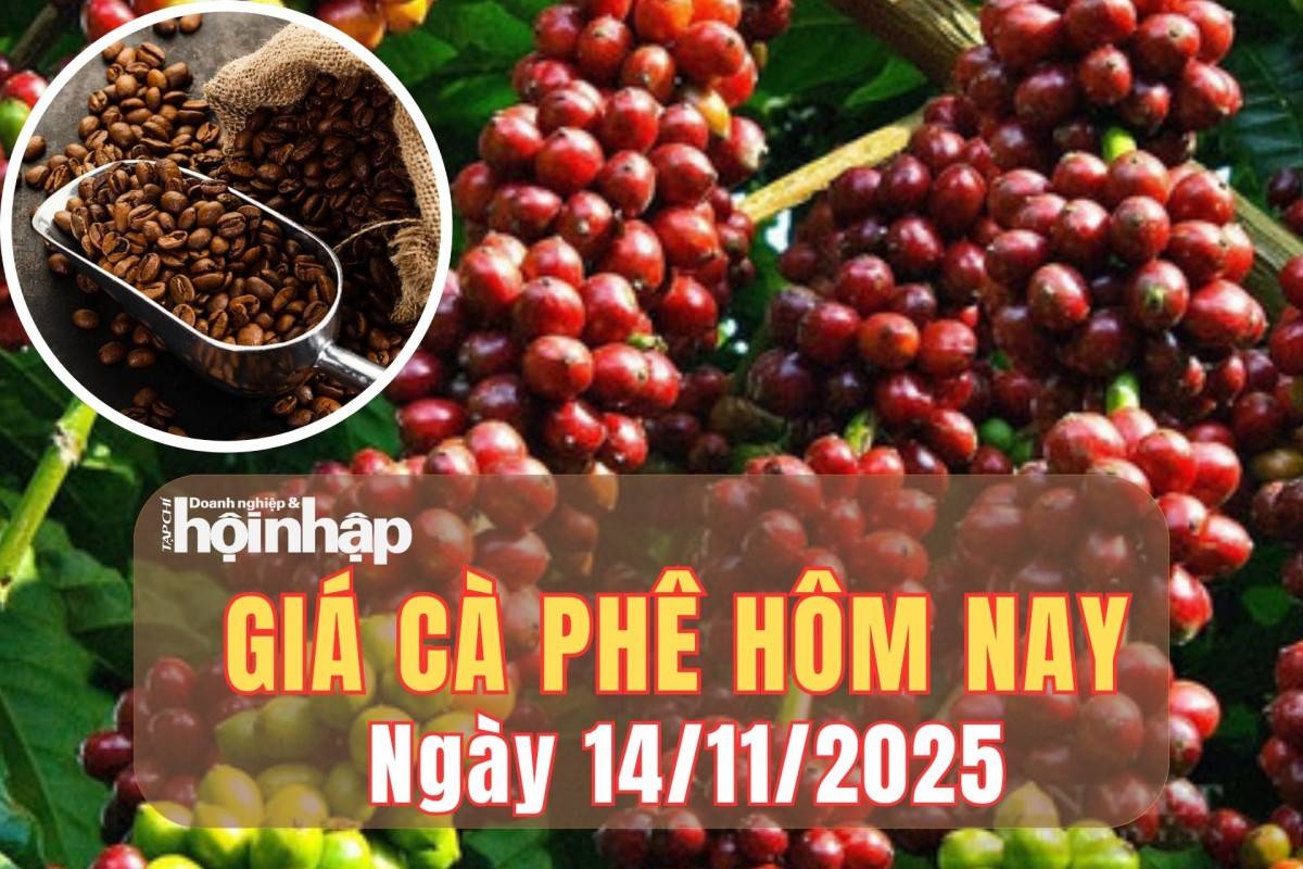 Giá cà phê hôm nay 14/11/2025: Tây Nguyên giảm mạnh, Việt Nam kỳ vọng hưởng lợi từ chính sách thuế Mỹ