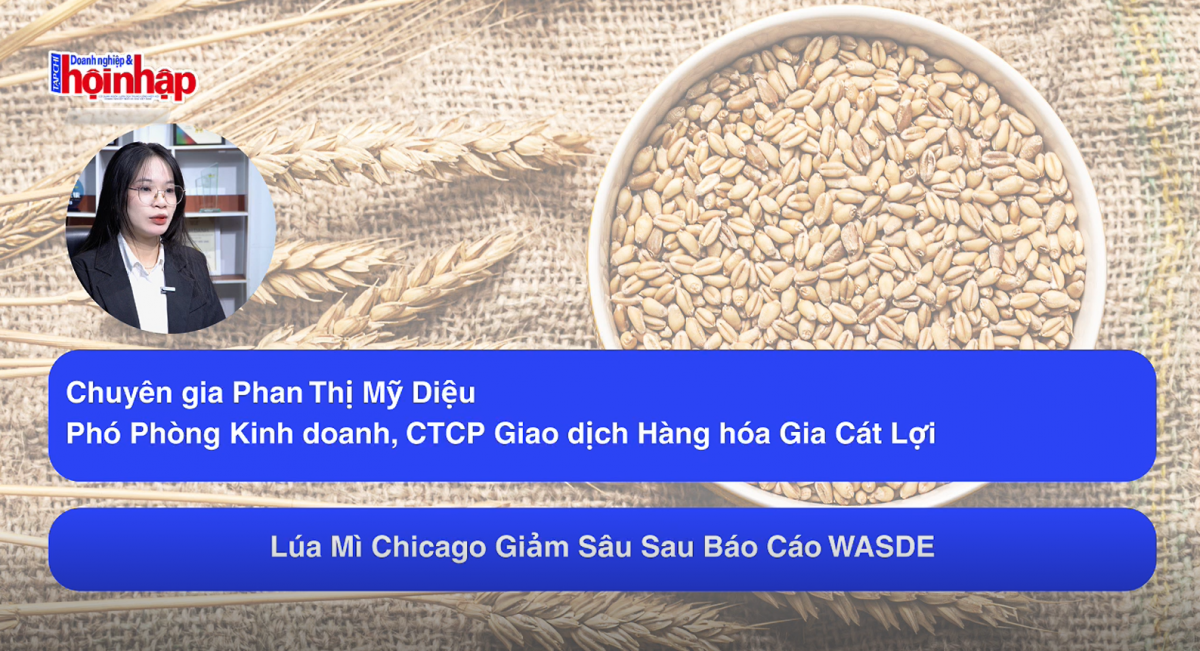 Lúa mì Chicago giảm sâu sau báo cáo WASDE
