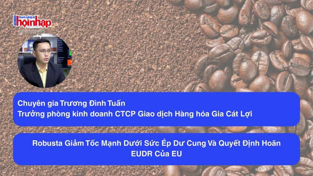 Robusta giảm tốc mạnh dưới sức ép dư cung và quyết định hoãn EUDR của EU