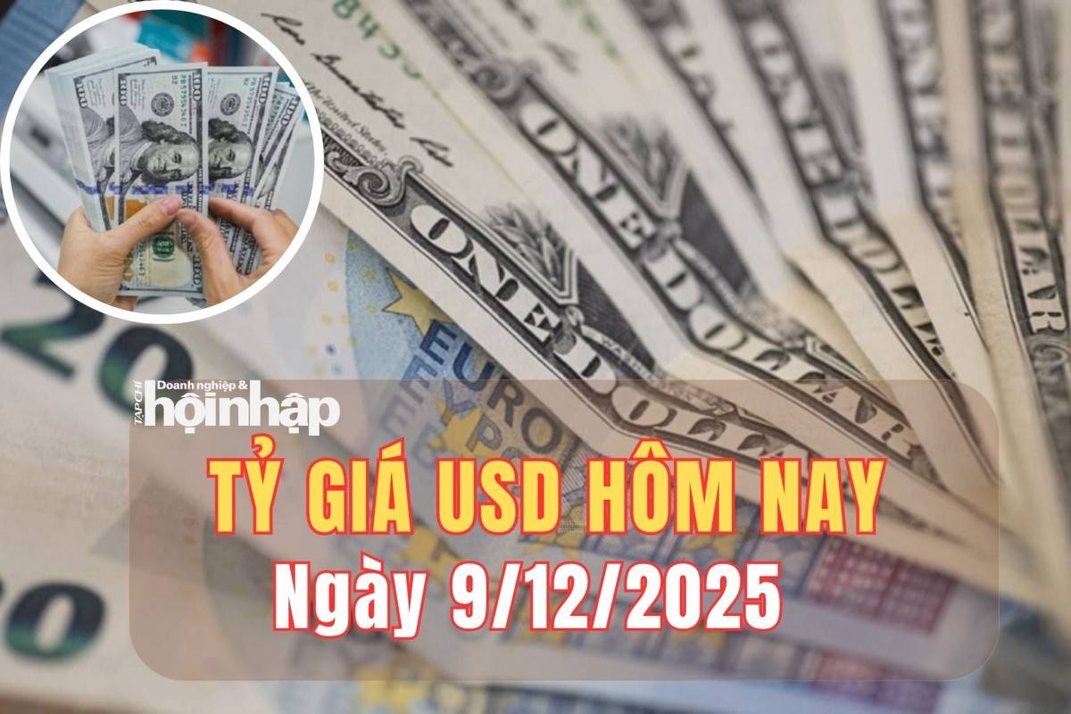 Tỷ giá USD hôm nay 9/12/2025: Đồng USD nhích nhẹ trước tuần quyết định của Fed