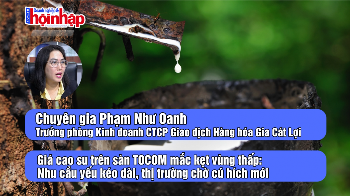 Giá cao su trên sàn TOCOM mắc kẹt vùng thấp: Nhu cầu yếu kéo dài, thị trường chờ cú hích mới