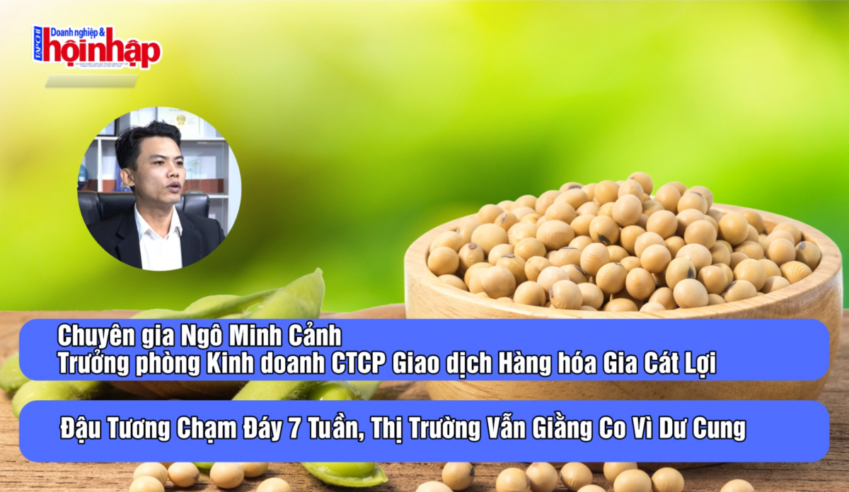 Đậu tương chạm đáy 7 tuần, thị trường vẫn giằng co vì dư cung