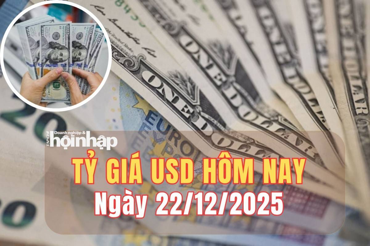 Tỷ giá USD hôm nay 22/12/2025: Đồng USD chững nhịp, thị trường “nín thở” chờ tín hiệu từ Fed