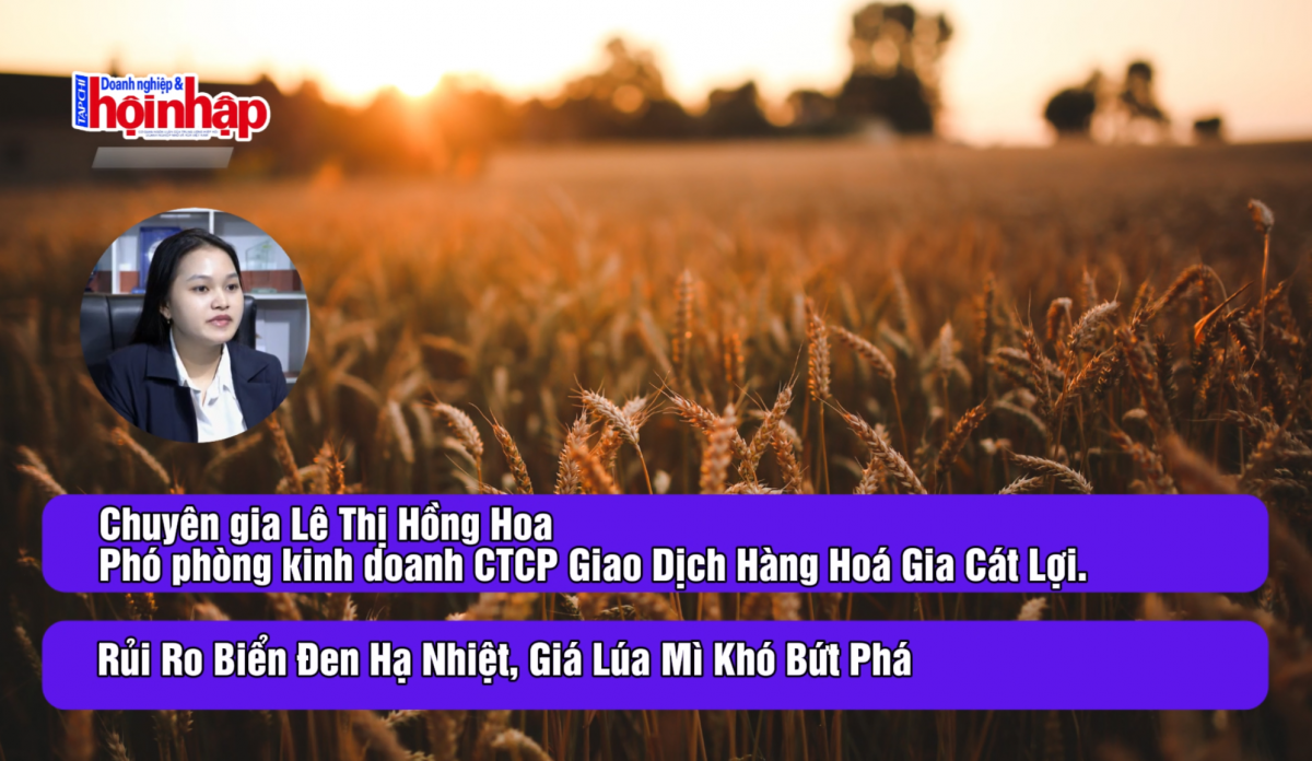 Rủi ro Biển Đen hạ nhiệt, giá lúa mì khó bứt phá