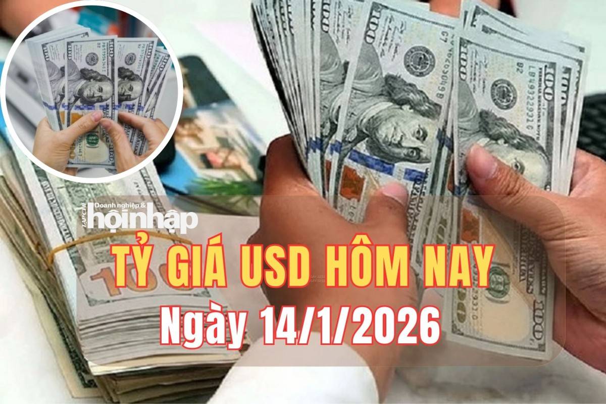 Tỷ giá USD hôm nay 14/1/2025: Thị trường ngoại hối phản ứng nhanh với dữ liệu CPI Mỹ