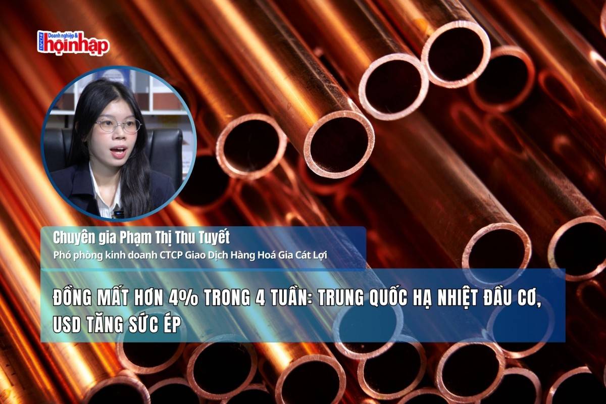 Đồng mất hơn 4% trong 4 tuần: Trung Quốc hạ nhiệt đầu cơ, USD tăng sức ép