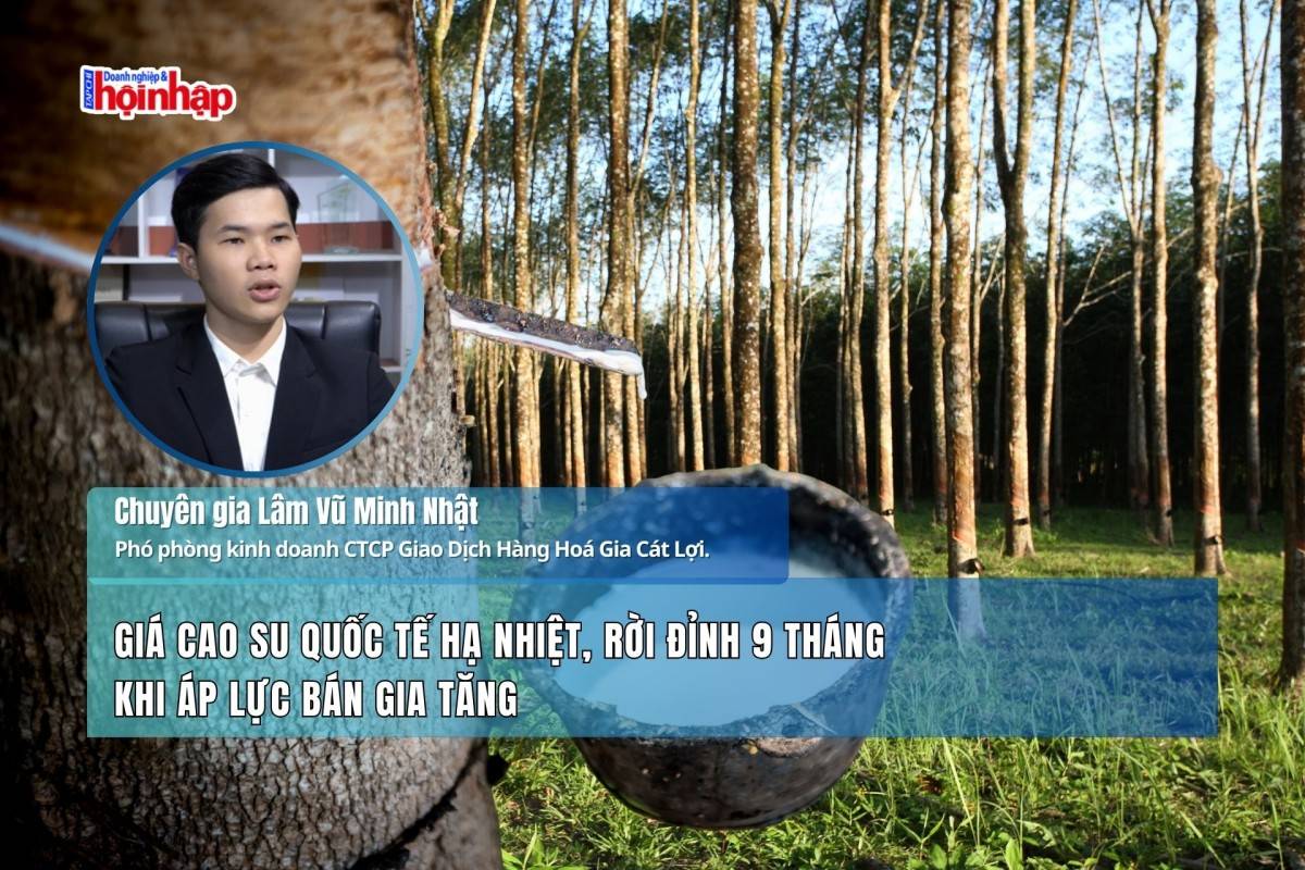 Giá cao su quốc tế hạ nhiệt, rời đỉnh 9 tháng khi áp lực bán gia tăng