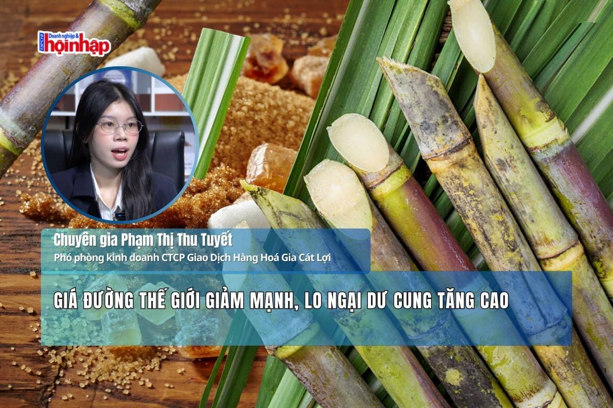 Giá đường thế giới giảm mạnh, lo ngại dư cung tăng cao