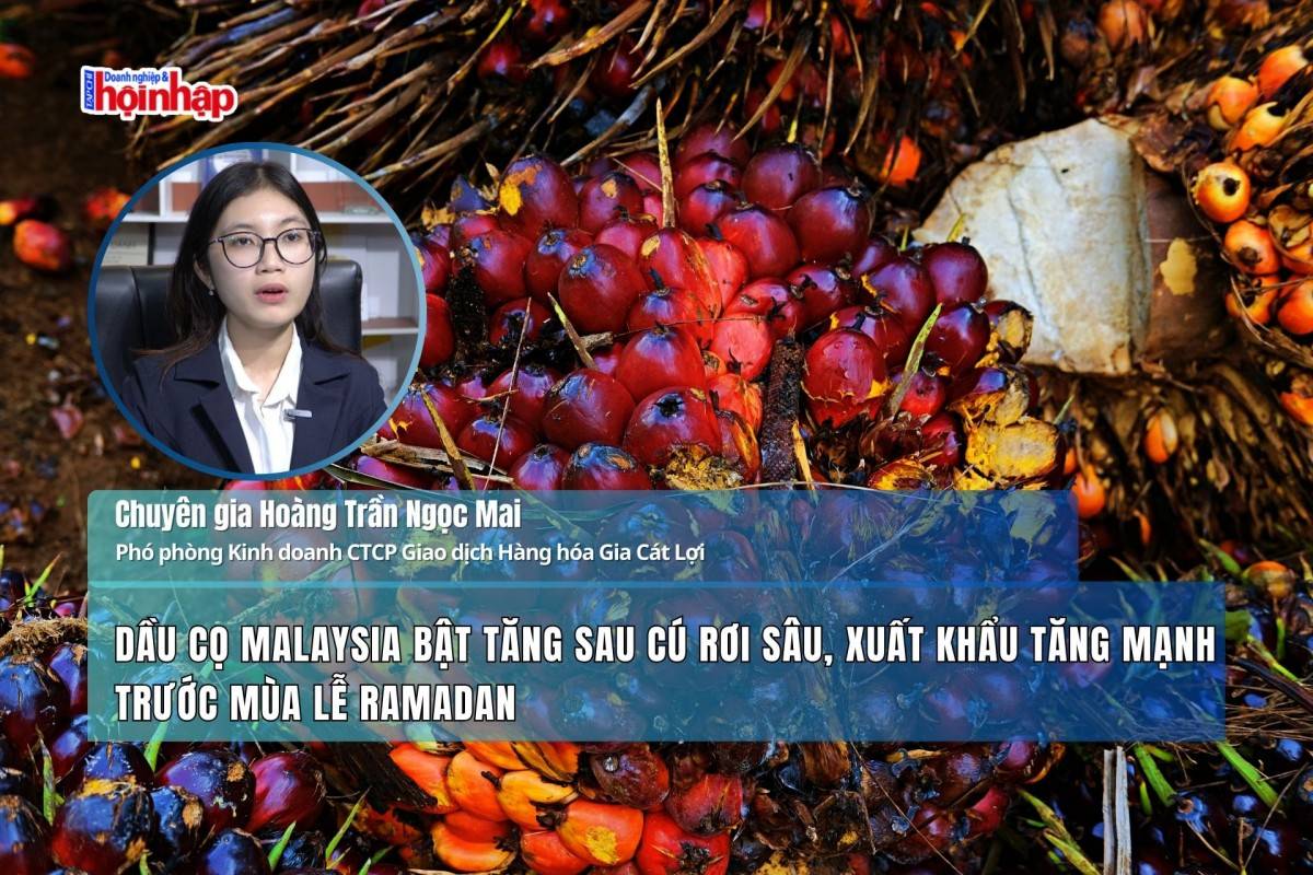 Dầu cọ Malaysia bật tăng sau cú rơi sâu, xuất khẩu tăng mạnh trước mùa lễ Ramadan