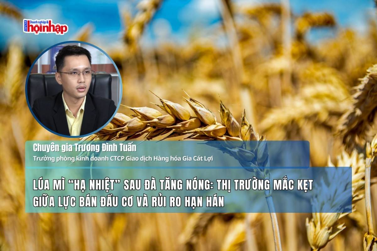 Lúa mì “hạ nhiệt” sau đà tăng nóng: Thị trường mắc kẹt giữa lực bán đầu cơ và rủi ro hạn hán