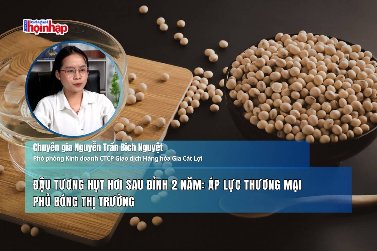 Đậu tương hụt hơi sau đỉnh 2 năm: Áp lực thương mại phủ bóng thị trường