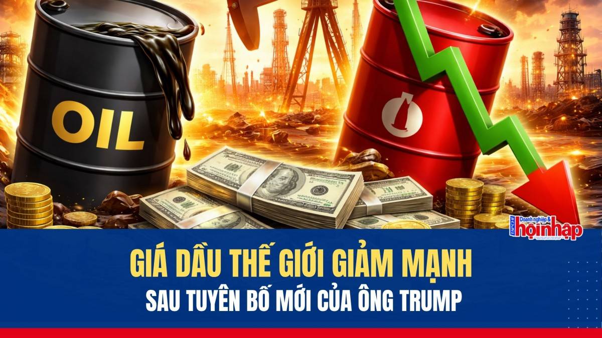 Giá xăng dầu thế giới lao dốc sau phát ngôn mới của ông Trump: Doanh nghiệp đối mặt cơ hội và rủi ro đan xen