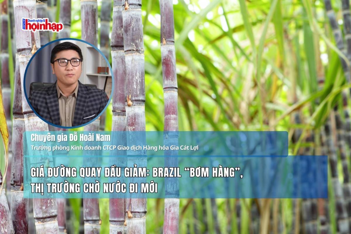 Giá đường quay đầu giảm: Brazil “bơm hàng”, thị trường chờ nước đi mới