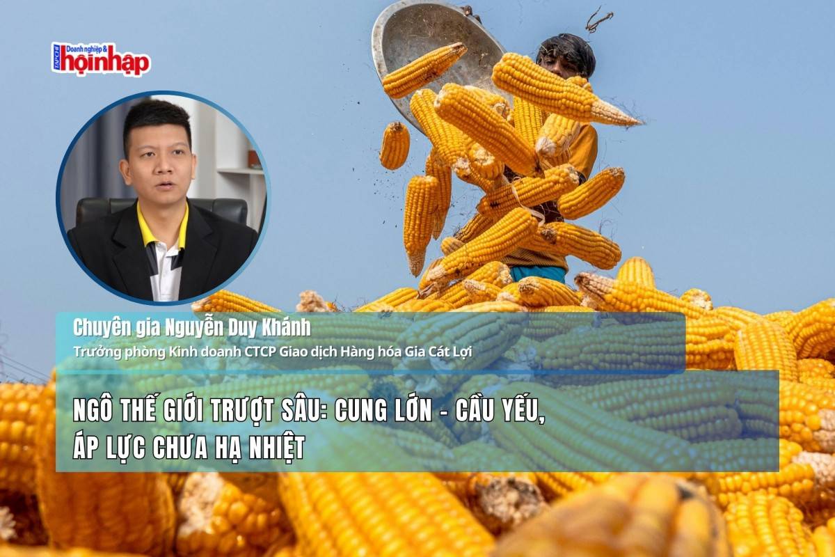 Ngô thế giới trượt sâu: Cung lớn – cầu yếu, áp lực chưa hạ nhiệt