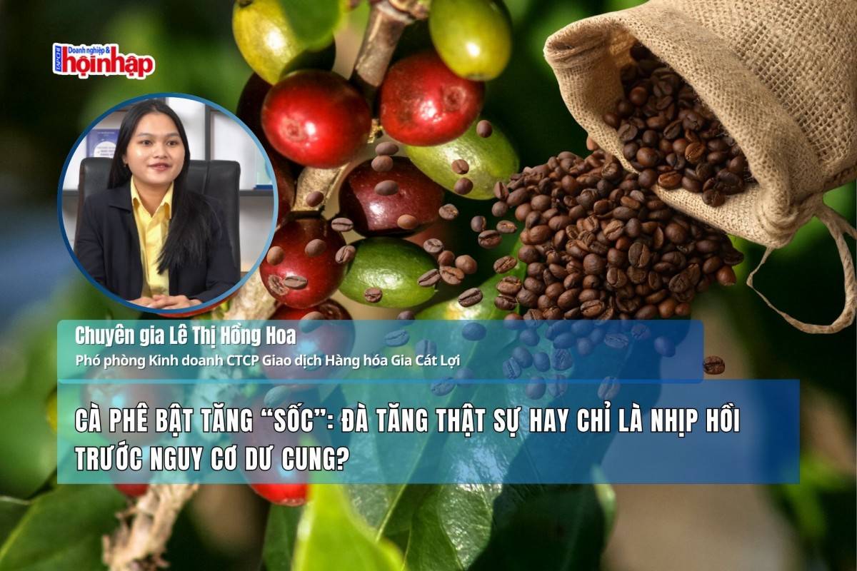 Cà phê bật tăng “sốc”: Đà tăng thật sự hay chỉ là nhịp hồi trước nguy cơ dư cung?