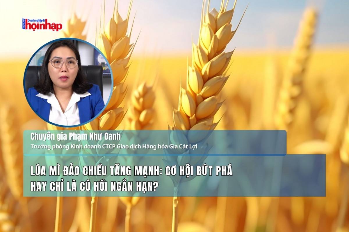 Lúa mì đảo chiều tăng mạnh: Cơ hội bứt phá hay chỉ là cú hồi ngắn hạn?