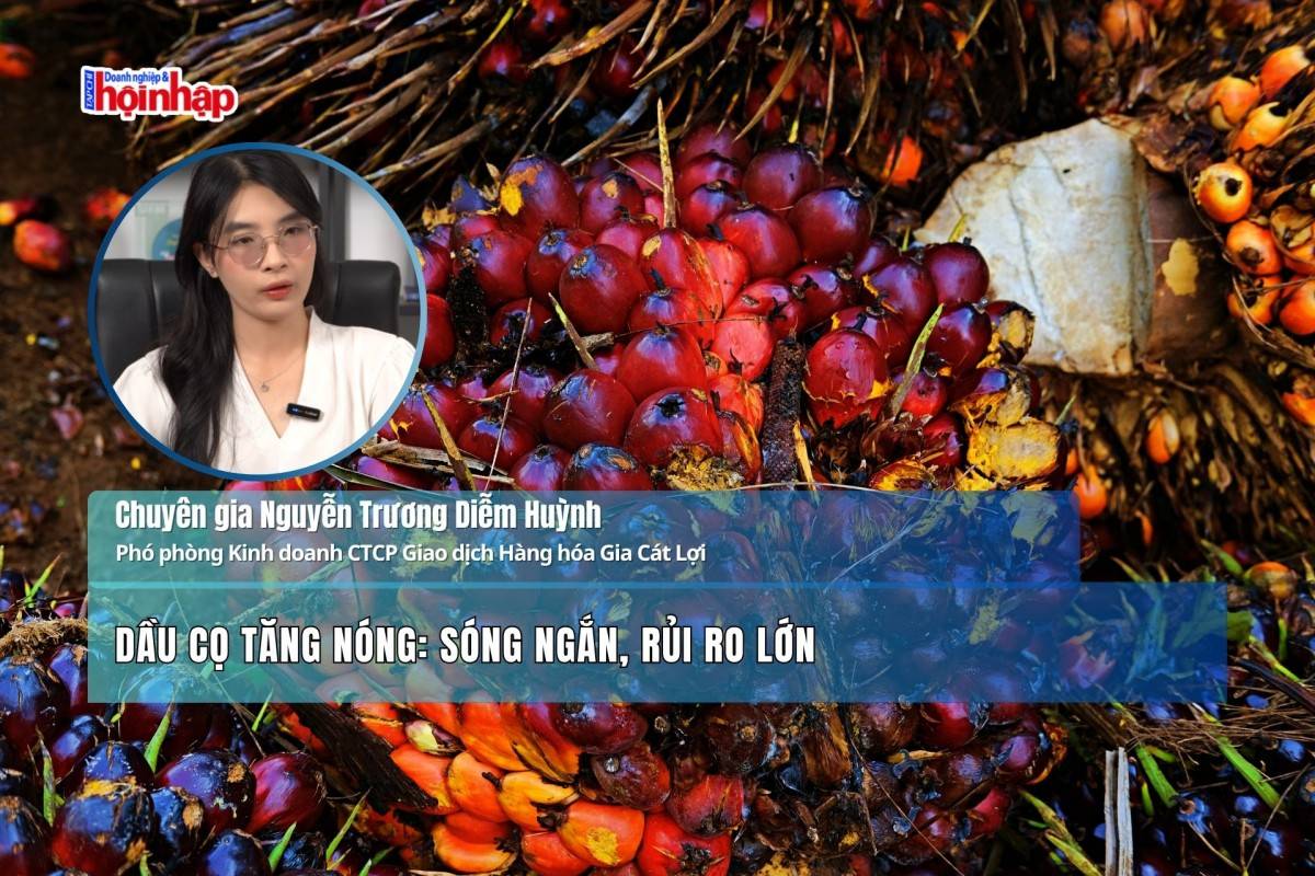 Dầu cọ tăng nóng: Sóng ngắn, rủi ro lớn
