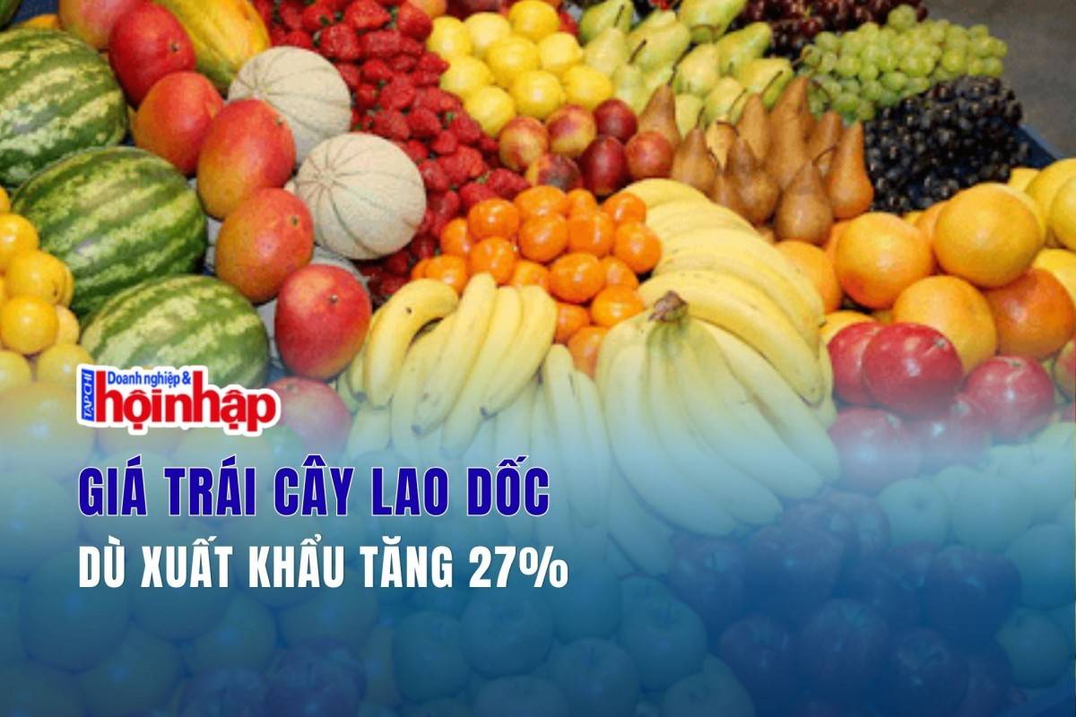 Giá trái cây lao dốc dù xuất khẩu tăng 27%