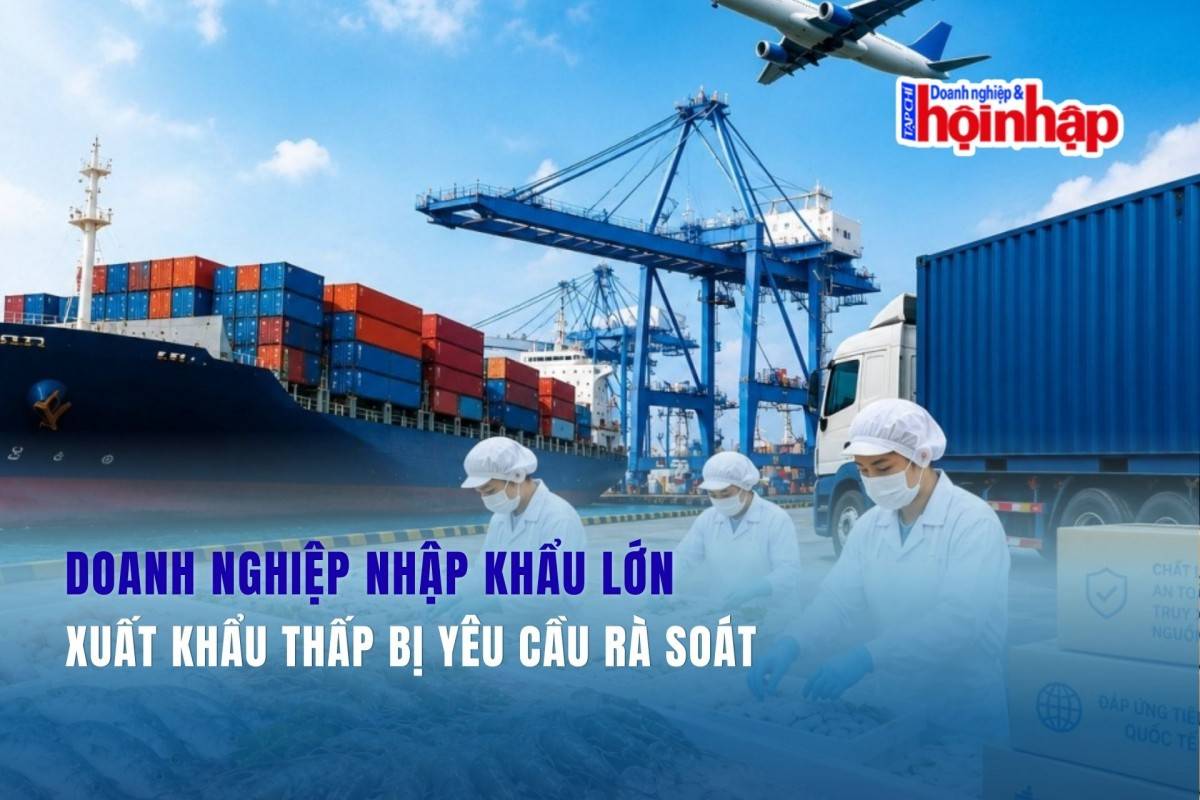 Doanh nghiệp nhập khẩu lớn, xuất khẩu thấp bị yêu cầu rà soát