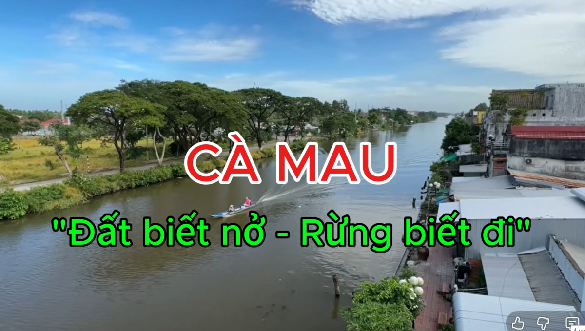 Cà Mau, nơi "đất biết nở, rừng biết đi"